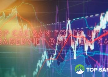 Top các sàn Forex uy tín được Traderviet đánh giá cao