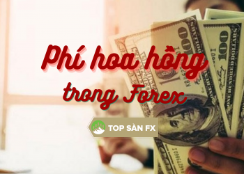 Lưu ý về phí hoa hồng trong Forex để chọn sàn giao dịch phù hợp