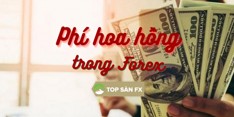 Lưu ý về phí hoa hồng trong Forex để chọn sàn giao dịch phù hợp