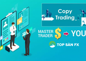 Copy Trade là gì? Bot Copy trade ở đâu uy tín. Kinh nghiệm giao dịch copy trade cho người mới
