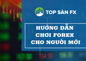 Chơi Forex thế nào để người mới tham gia có lời?