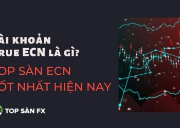Tài khoản True ECN là gì_ Top sàn ECN tốt nhất hiện nay