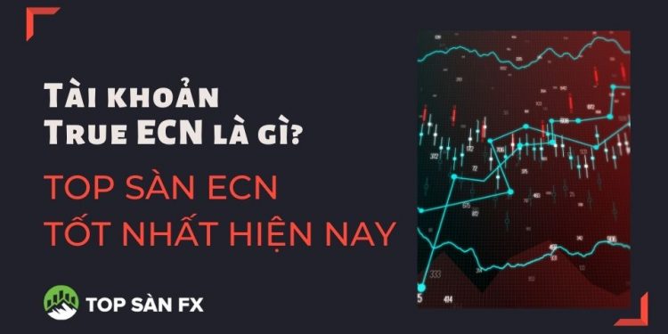 Tài khoản True ECN là gì_ Top sàn ECN tốt nhất hiện nay