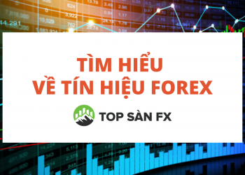 Tìm hiểu về tín hiệu Forex