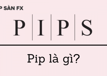 Pip là gì? Cách tính pip trong forex chính xác nhất