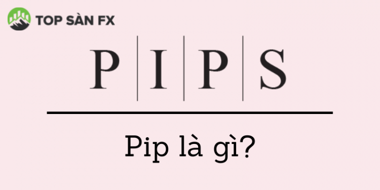Pip là gì? Cách tính pip trong forex chính xác nhất