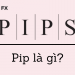Pip là gì? Cách tính pip trong forex chính xác nhất