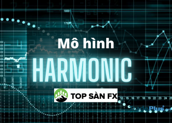 Mô hình Harmonic – chiến thuật giao dịch nâng cao