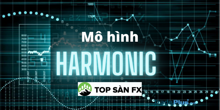 Mô hình Harmonic – chiến thuật giao dịch nâng cao