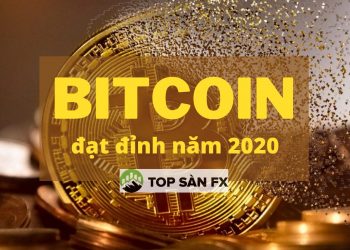 5 tỷ đô la được đổ vào Bitcoin trong năm nay, tăng 600%