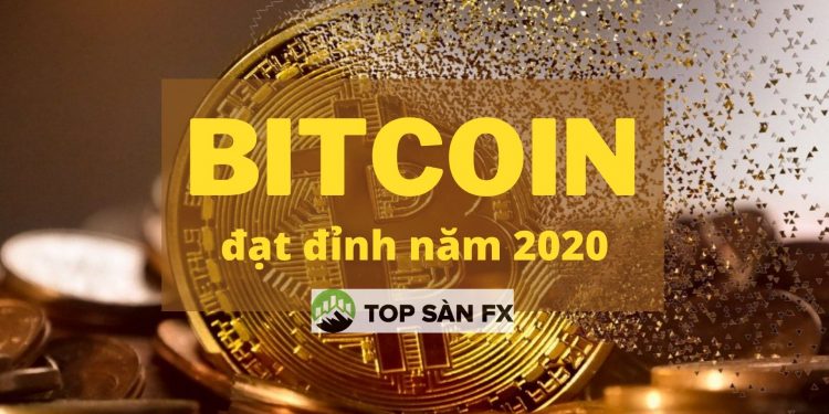 5 tỷ đô la được đổ vào Bitcoin trong năm nay, tăng 600%