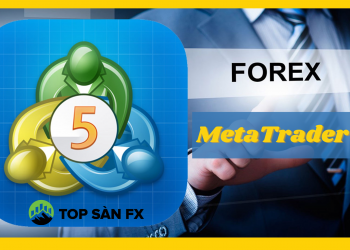 MetaTrader 5 là gì? Những nhầm lẫn giữa MT4 và MT5