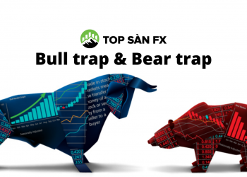 Bull Trap và Bear Trap-Cách nhận biết và tránh bẫy thị trường