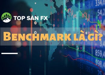 Benchmark là gì? Tầm quan trọng của Benchmark trong đầu tư