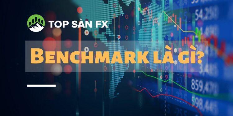 Benchmark là gì? Tầm quan trọng của Benchmark trong đầu tư