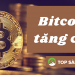Bitcoin tăng cao vượt kỷ lục mọi thời đại