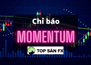 Momentum là gì? Tối ưu giao dịch với momentum