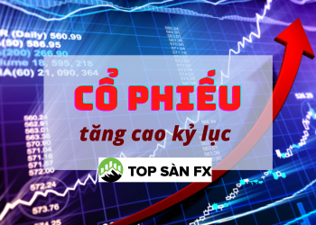 Cổ phiếu bắt đầu “vực dậy” đạt mức cao kỷ lục