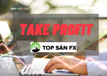Take Profit là gì? Cách chốt lời hiệu quả nhất 2022