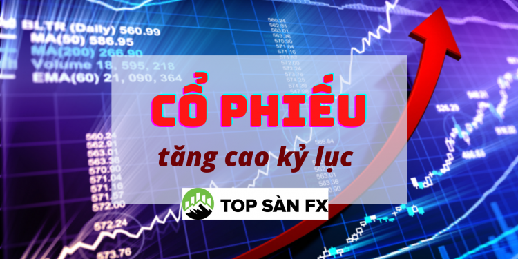 Cổ phiếu bắt đầu “vực dậy” đạt mức cao kỷ lục