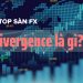 Divergence là gì