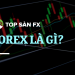 FOREX LÀ GÌ_