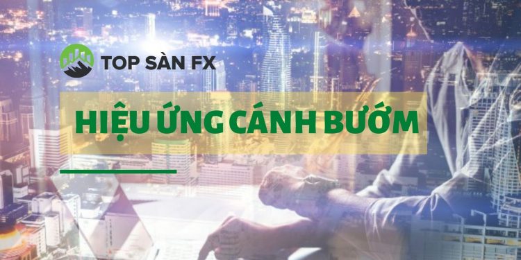 Hiệu ứng cánh bướm có ý nghĩa gì trong đầu tư tài chính