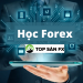 Học Forex như thế nào để tự giao dịch hiệu quả?