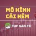 MÔ HÌNH CÁI NÊM