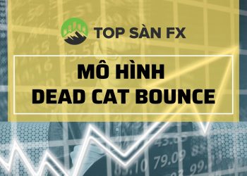 Mô hình Dead Cat Bounce – Cú Nảy Mèo Chết