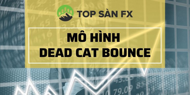 Mô hình Dead Cat Bounce – Cú Nảy Mèo Chết