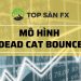 Mô hình Dead Cat Bounce – Cú Nảy Mèo Chết