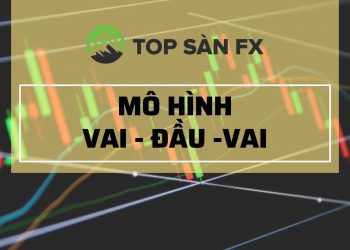 MÔ HÌNH VAI - ĐẦU -VAI