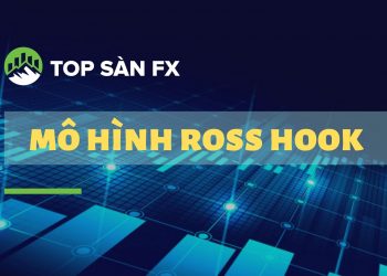 Mô hình Ross Hook