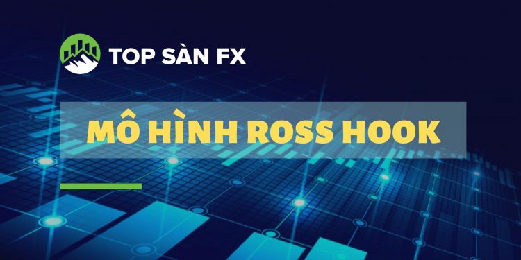 Mô hình Ross Hook