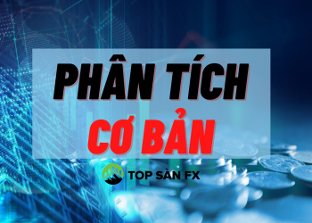 Phân tích cơ bản công cụ giúp trader chinh phục thị trường