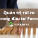 Áp dụng quản trị rủi ro vào đầu tư ngoại hối