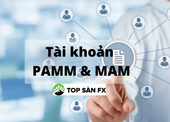 Sự khác biệt giữa hai tài khoản PAMM và MAM