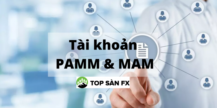 Sự khác biệt giữa hai tài khoản PAMM và MAM