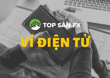 Ví điện tử bao nhiêu loại và cách bảo đảm an toàn tốt nhất ?