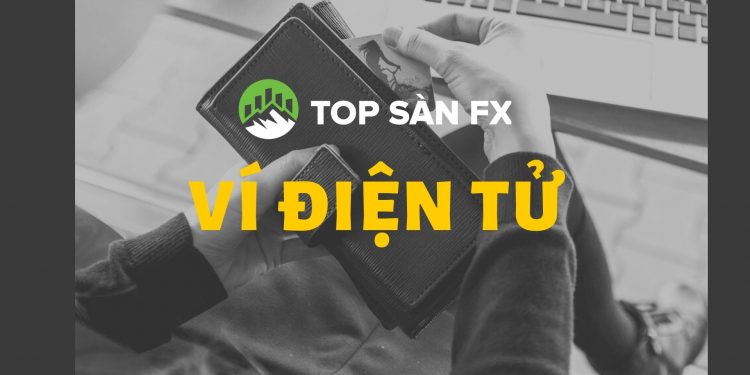 Ví điện tử bao nhiêu loại và cách bảo đảm an toàn tốt nhất ?