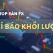 Ứng dụng chỉ báo khối lượng Forex sao cho hiệu quả