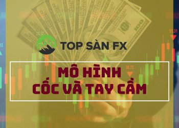 mô hình Cốc và tay cầm