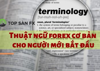 thuật ngữ Forex