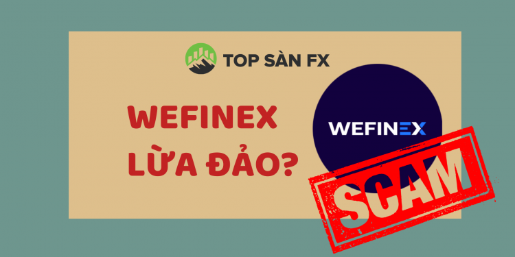 Wefinex là gì? Đầu tư tài chính hay đa cấp lừa đảo