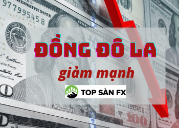 Đồng Đô la giảm mạnh nhất trong hai năm rưỡi