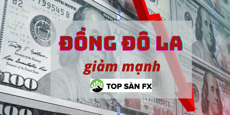 Đồng Đô la giảm mạnh nhất trong hai năm rưỡi