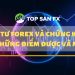Đầu tư forex và chứng khoán - Những điểm được và mất