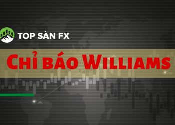 Chỉ báo Williams được sử dụng thế nào?