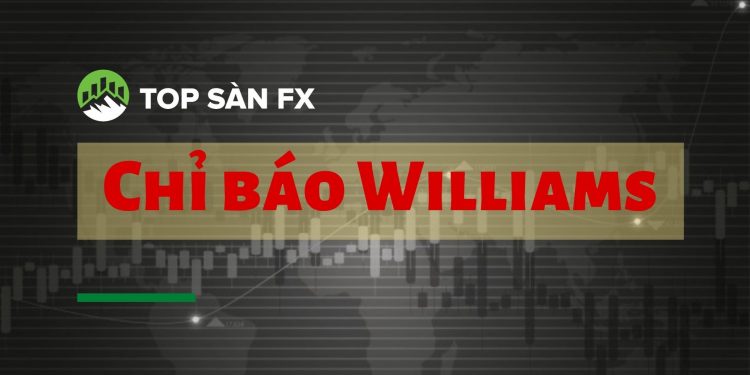 Chỉ báo Williams được sử dụng thế nào?